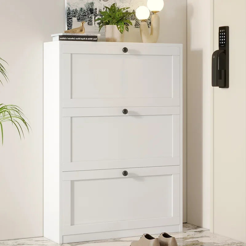 Shoe Storage Cabinet