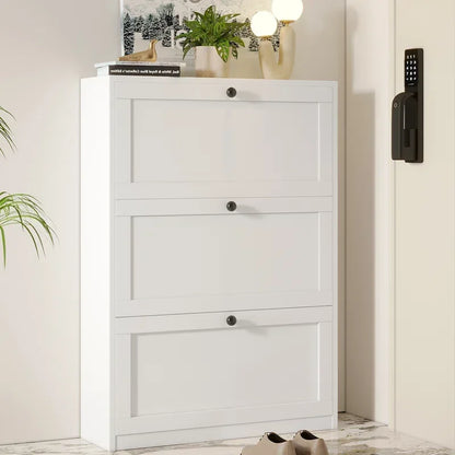 Shoe Storage Cabinet