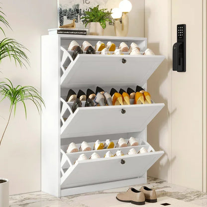 Shoe Storage Cabinet