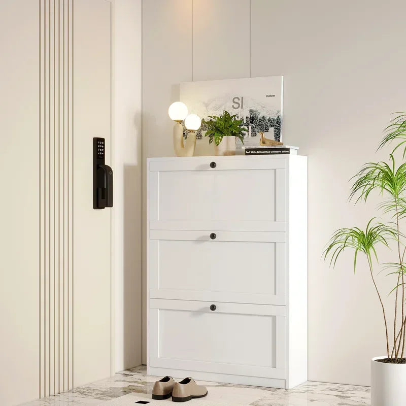 Shoe Storage Cabinet