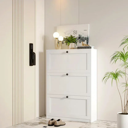 Shoe Storage Cabinet